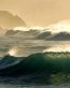 Oceans and Surf Wall Graphic Decals 20
