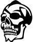 one eyed skull decal