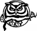 Owl Decal