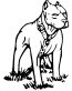 Pitbull Diecut Decal 66