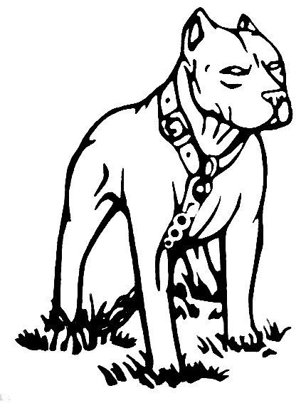 Pitbull Diecut Decal 66