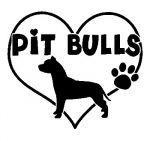 Pitbull Vinyl Car Decal 06