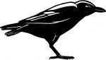 Raven Ravens Bird Birds Animal Animals Vinyl Decal Sticker