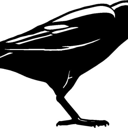 Raven Ravens Bird Birds Animal Animals Vinyl Decal Sticker