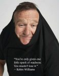 robin williams