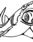 Shark Vinyl Diecut Decal Sticker