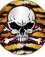 SKULL CIRCULAR FILLS Skin Tiger