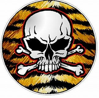 SKULL CIRCULAR FILLS Skin Tiger