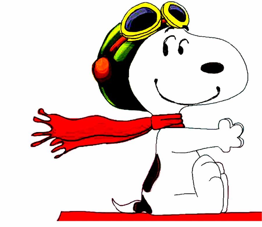 Snoopy Vynil Car Sticker Decal - Select Size