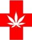 the original medical marijuana logo diecut decal