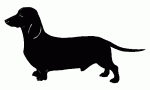 041 Smooth Dachshund Decal