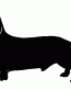 041 Smooth Dachshund Decal
