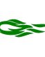 072 - Flame Decal Designs