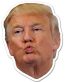 2020 TRUMP KISS STICKER