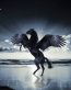 Fairies and Fantasy Wall Graphics 128