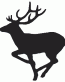 023 Deer Decal