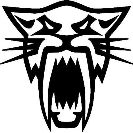 Arctic Cat Wildcat Logo Diecut Racing Decal