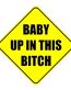 Baby Up In This Bitch Vinyl Car Sticker