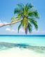Beaches and Coastal Vinyl Wall Graphics 067
