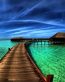Beaches and Coastal Vinyl Wall Graphics 072