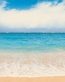 Beaches and Coastal Vinyl Wall Graphics 171