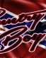 country boy rebel and deer sticker
