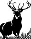 Deer Decal 08