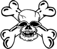 Die Cut Vinyl Skull Decal 2