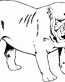 Dog Breed Decal 36