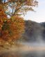 Fall Colors Adhesive Wall Graphics 43