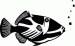 Fish Decals 11