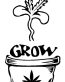 Grow Weed Sticker