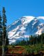 Mountain Scenes Wall Art Decals 093