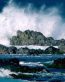 Oceans and Surf Wall Graphic Decals 13
