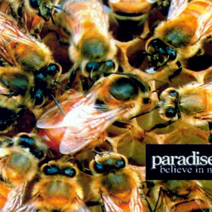 PARADISE LOST Color Band Decal