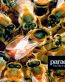 PARADISE LOST Color Band Decal