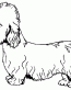 027 West Highland Terrier Decal
