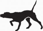 Pointer Dog Decal