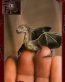 Dragons and Skulls Wall Decals 15