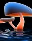 3d Objects as Art Wall Decals 01