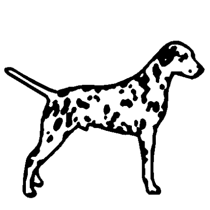 Dalmation car decal - 858