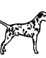 Dalmation car decal - 858