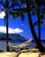 Beaches and Coastal Vinyl Wall Graphics 002