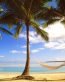 Beaches and Coastal Vinyl Wall Graphics 003