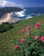 Beaches and Coastal Vinyl Wall Graphics 015