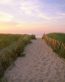 Beaches and Coastal Vinyl Wall Graphics 027