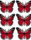 butterfly sticker RED - 6 PACK