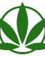 cannabis Access Alliance Logo Sticker