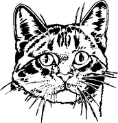 Cat Decals 28