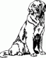 Dog Breed Decal 49a